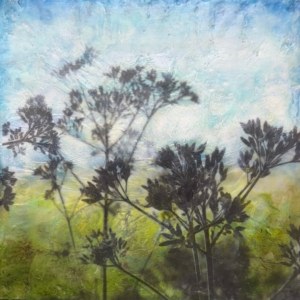 Jodi Reeb: Tranquility