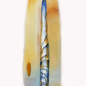 Cameron Zebrun: Taki II