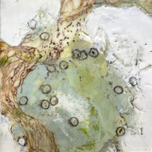 Julie Snidle: Brown-Eyed Sunshine