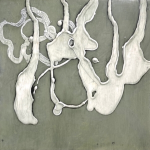 Julie Snidle: Green Shield