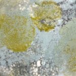 Julie Snidle: Maple Dust
