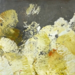 Julie Snidle: Parmelia