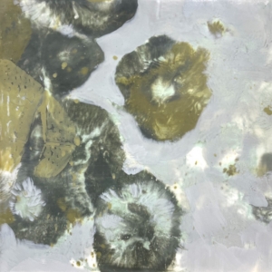 Julie Snidle: Pompon Shadow