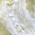 Julie Snidle: Powdered Ruffle