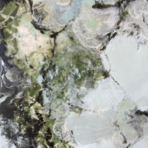 Julie Snidle: Salted Rock